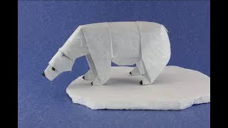 Polar bear