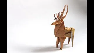 reindeer