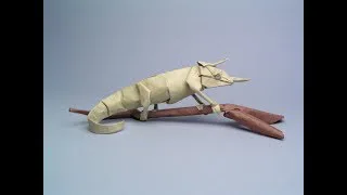 chameleon
