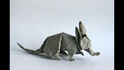 aardvark
