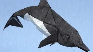 dolphin