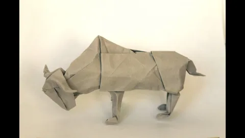 buffalo