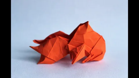 fantail goldfish