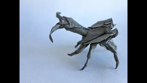 Violin beetle