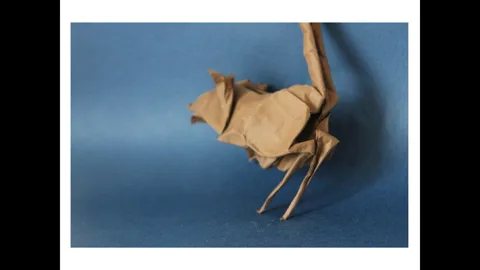 Jerboa