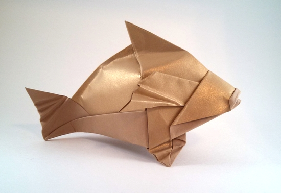 Brown Grouper