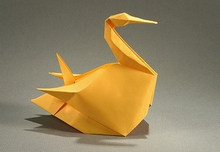 Northern gannet