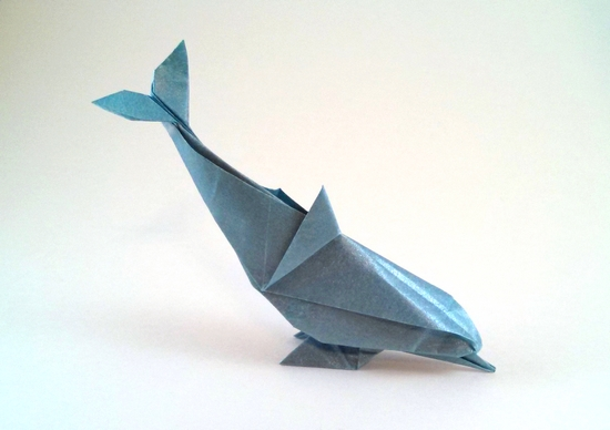 Dolphin