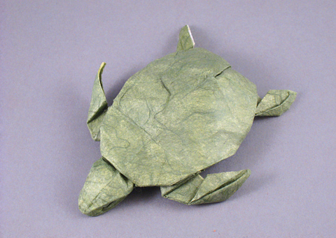 Turtle
