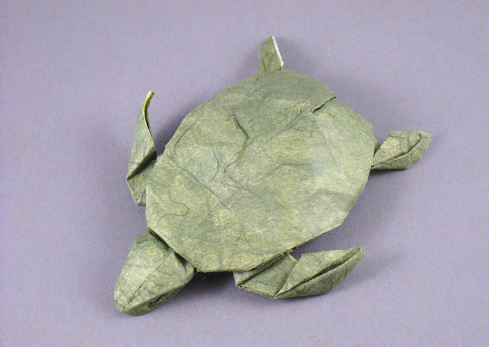 Turtle