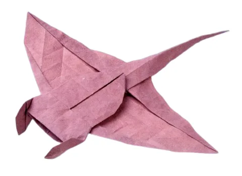 Manta ray