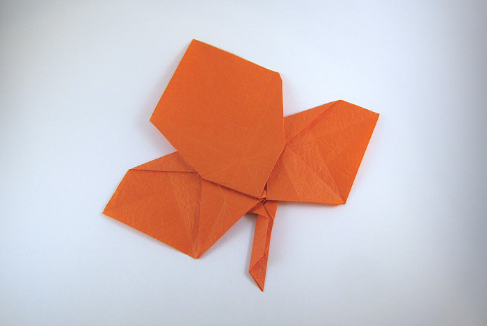 Maple leaf