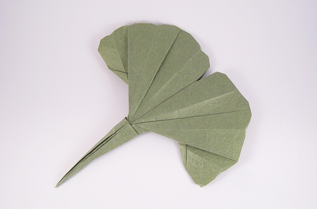 Gingko leaf