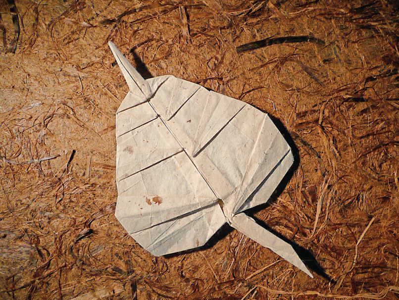Bodhi leaf