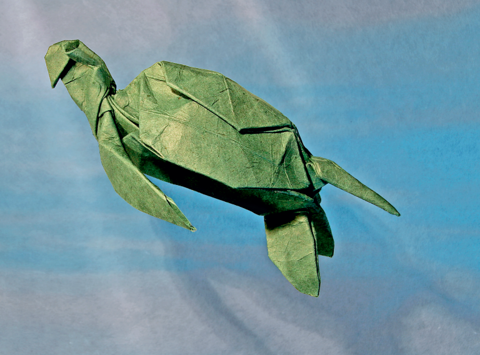 Turtle