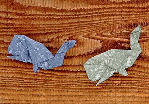 Whale