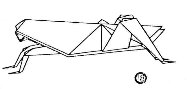 Grasshopper