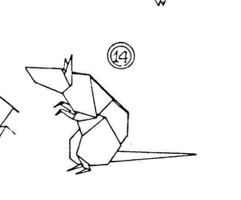 Rat