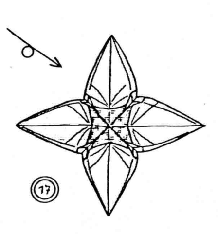 3D star and flapping bird