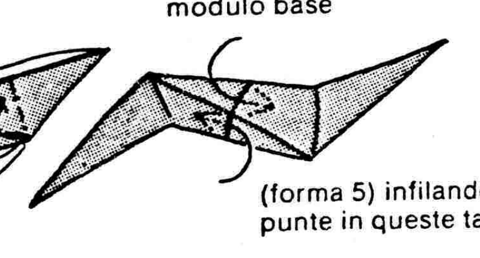 Perforated module
