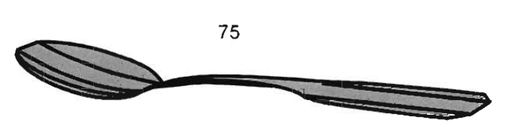 Spoon