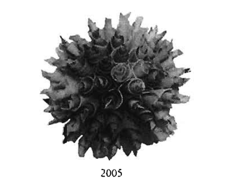 Vortices