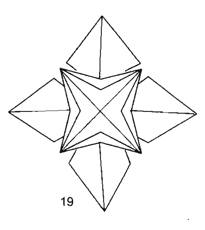 Magnolia star