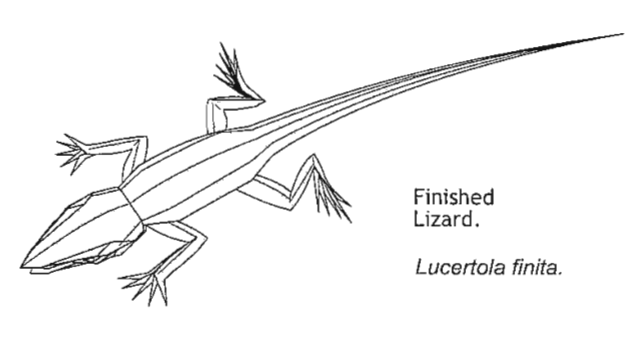 Lizard