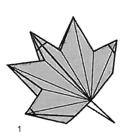 Grape leaf