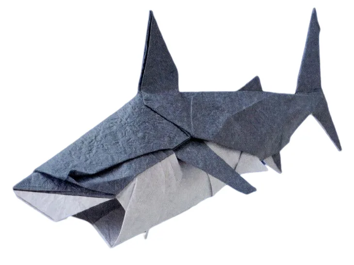 Great white shark