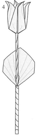 Tulip