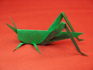 Grasshopper
