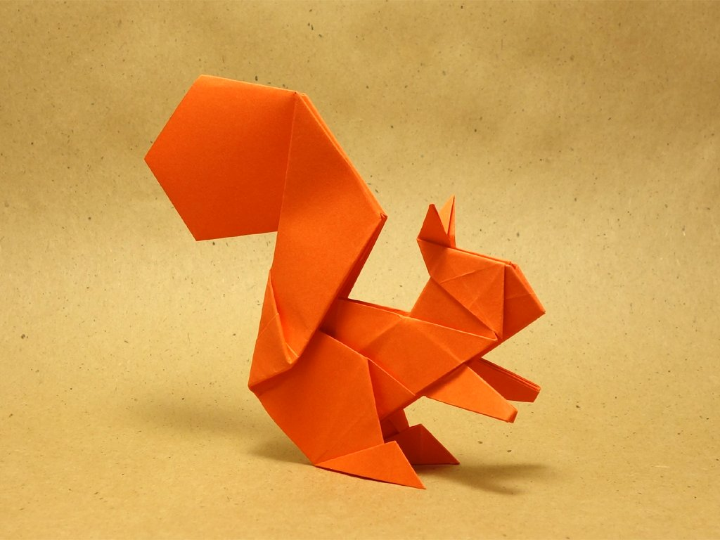Squirrel