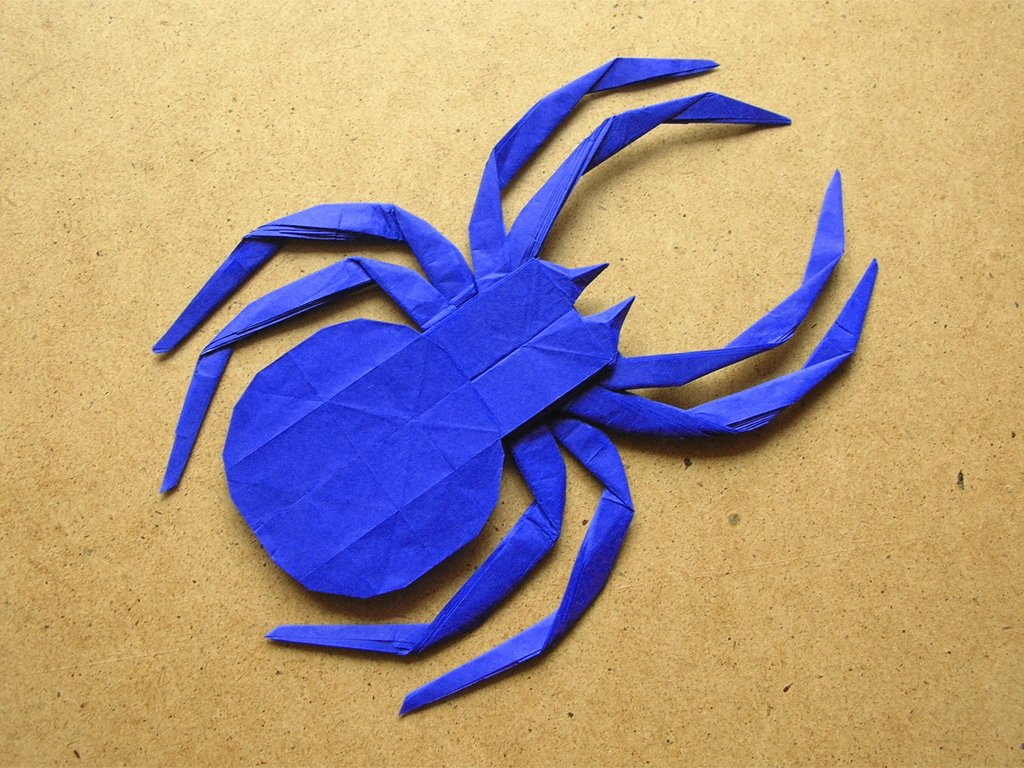 Spider