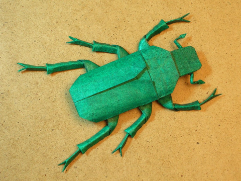 Green Rose Chafer