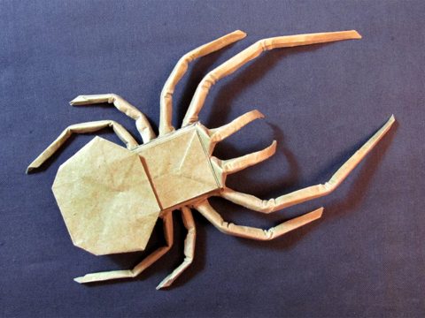 Orb Weaver