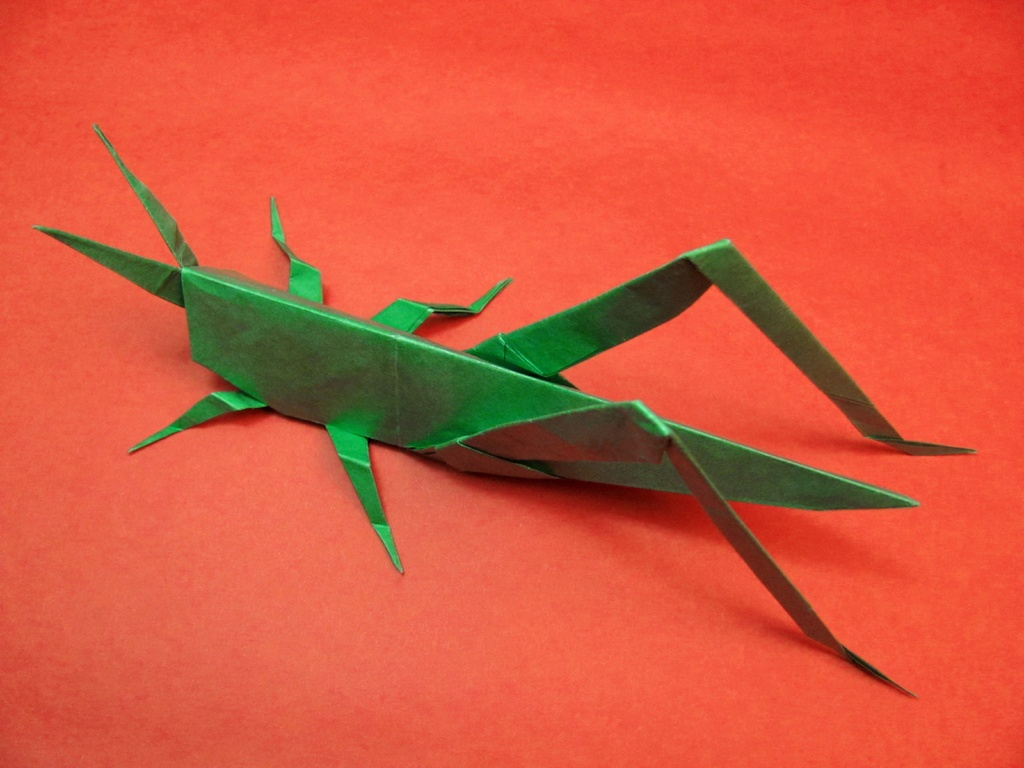 Grasshopper