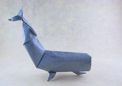 Sperm whale