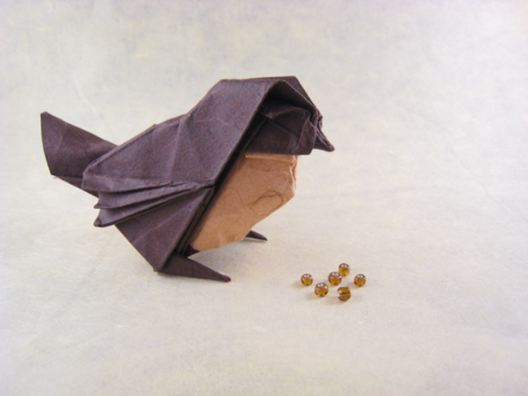 Sparrow