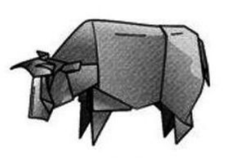 Steer
