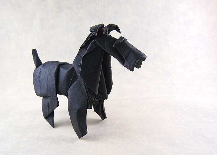 Fox terrier