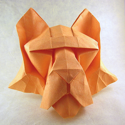 Tiger's head