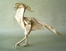 Secretary bird