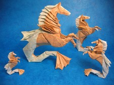 Hippocampus