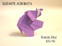 Elephant - acrobatic