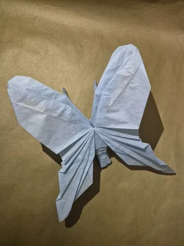 Butterfly — сложил Дмитрий Тукибаев