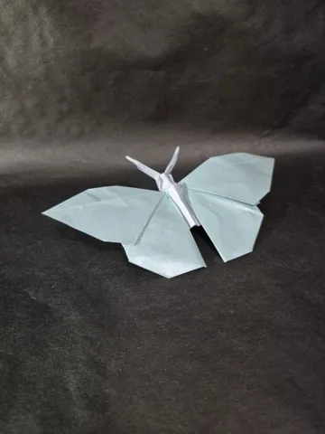 Butterfly — сложил Дмитрий Тукибаев