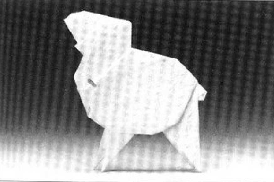 Lamb