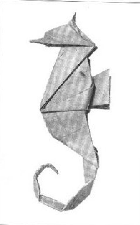 Seahorse