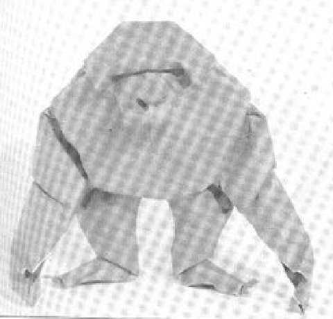 Gorilla